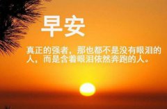 淘宝网首页电脑版？ 新浪官网首页电脑版？